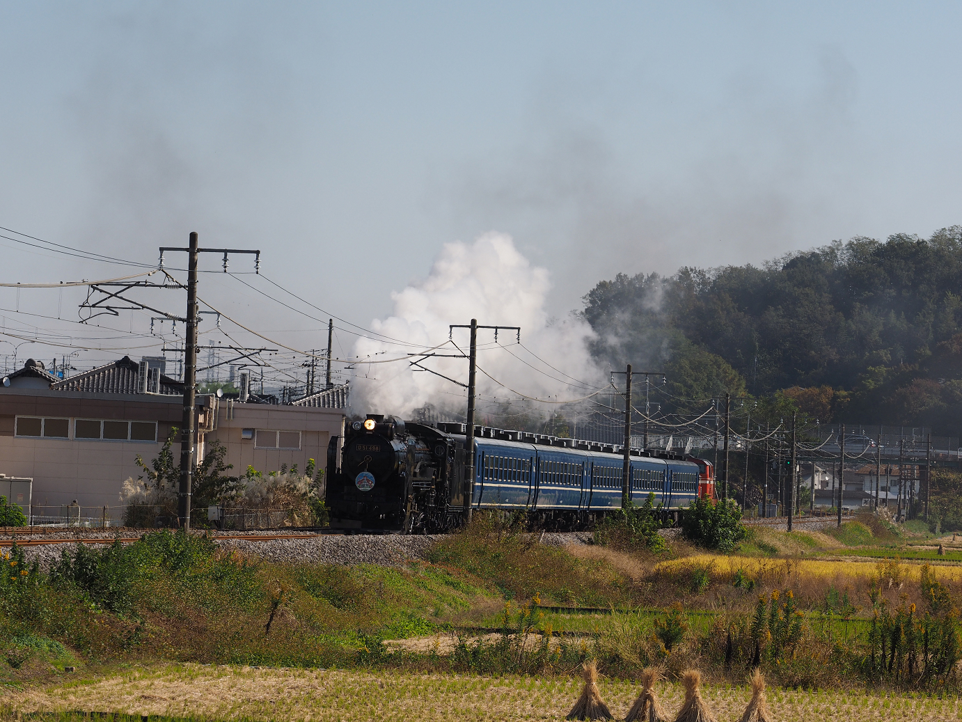 PB031291.jpg