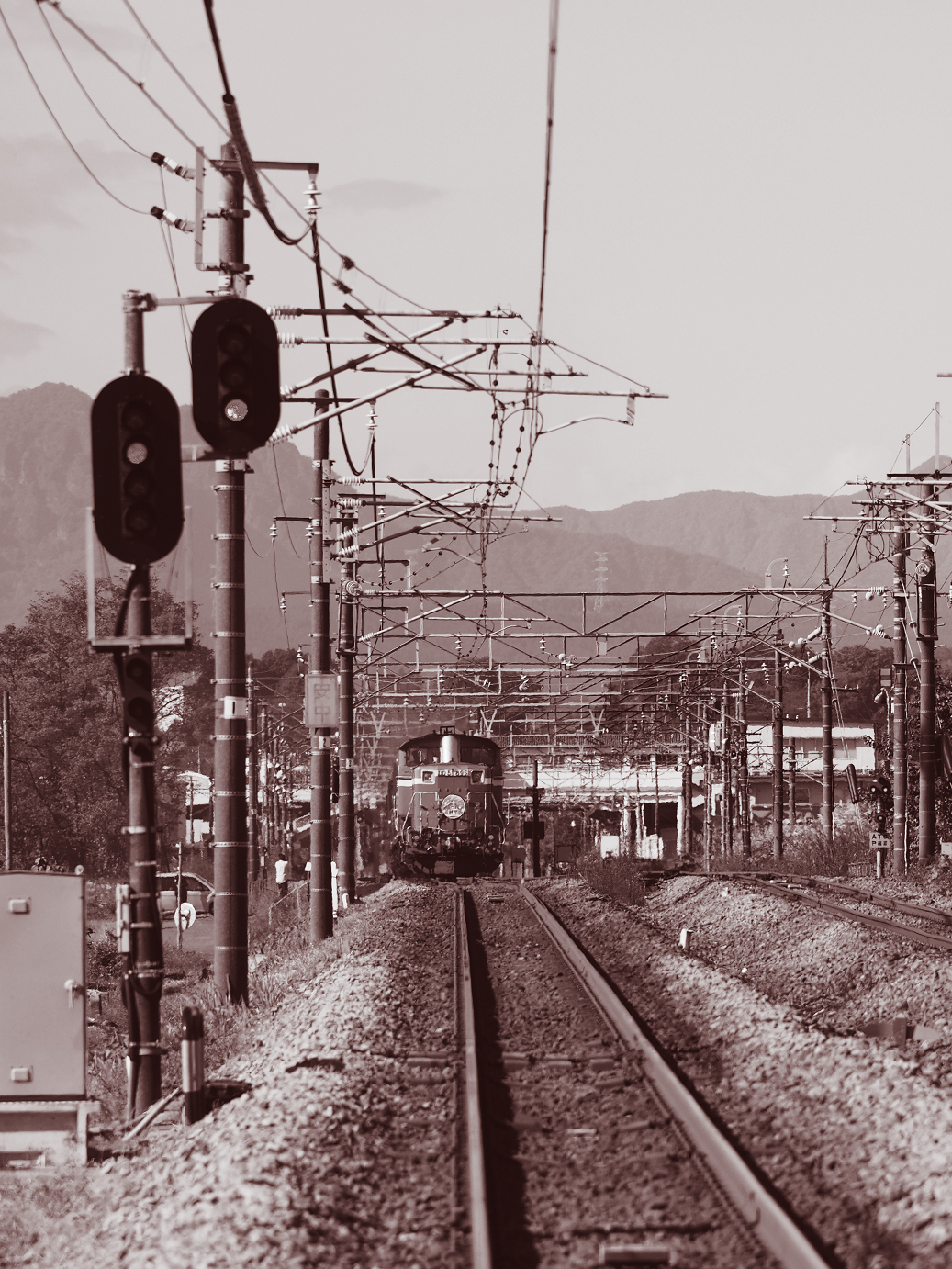 PB031341-.jpg