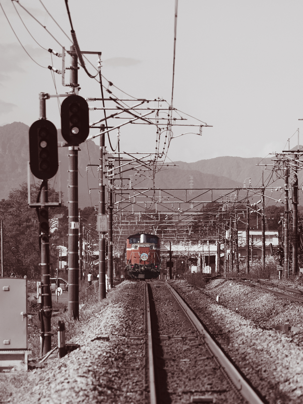 PB031341-2.jpg
