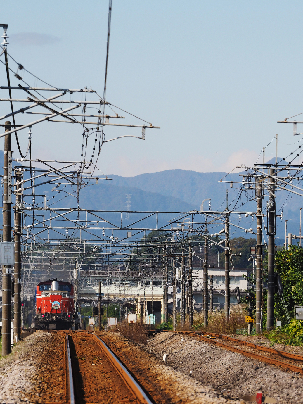 PB031354-.jpg