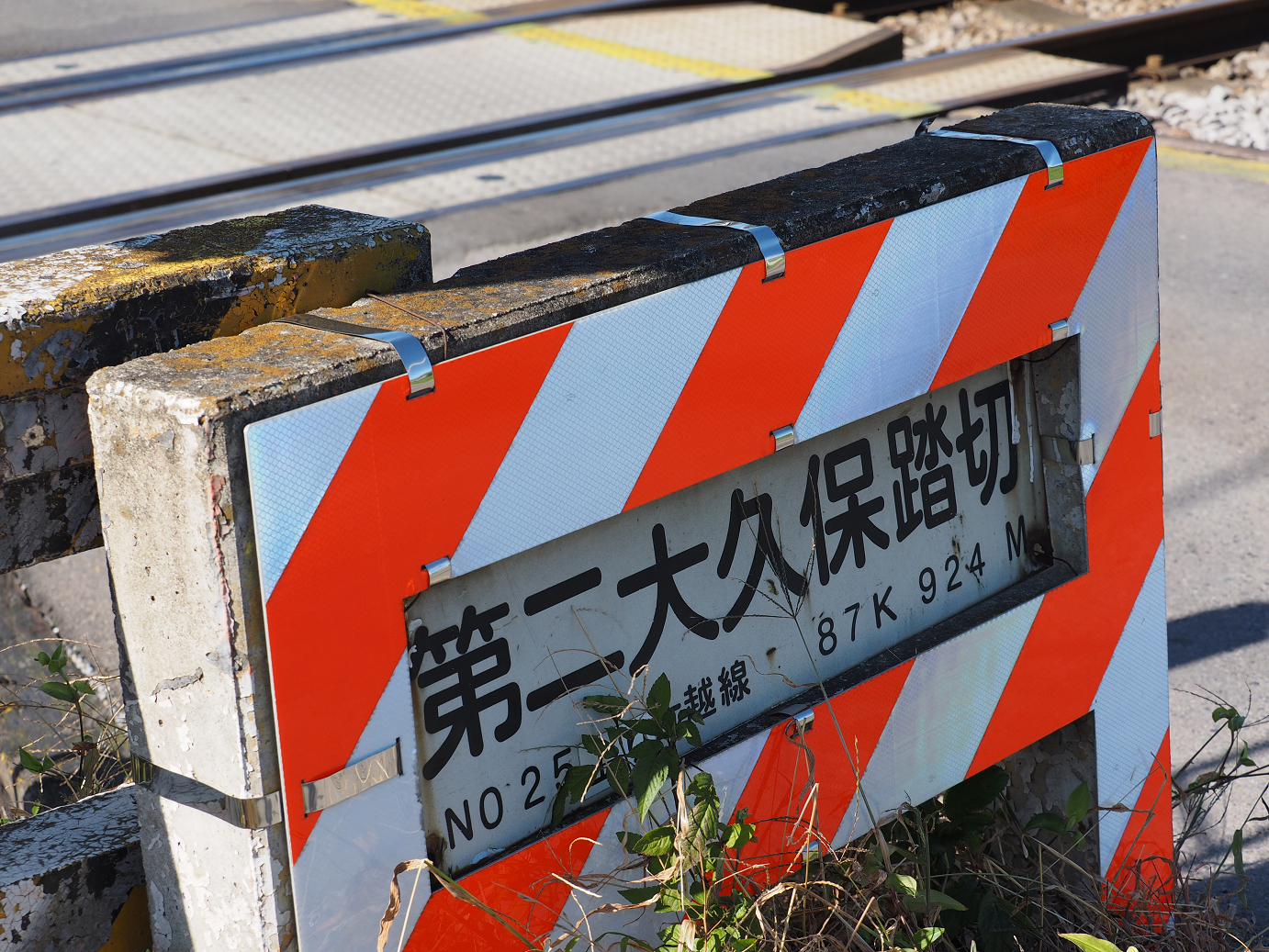 PB031369.jpg