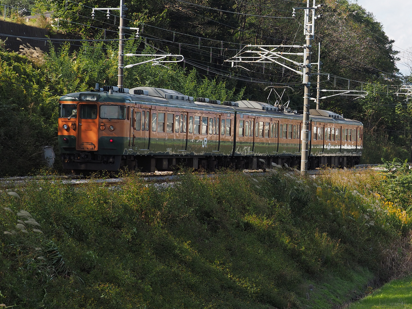 PB031479.jpg