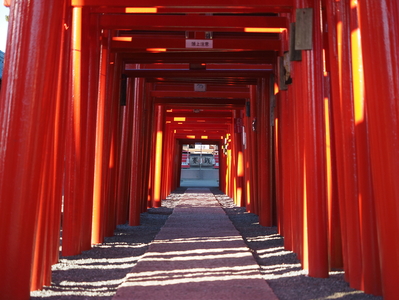 PB031543.jpg