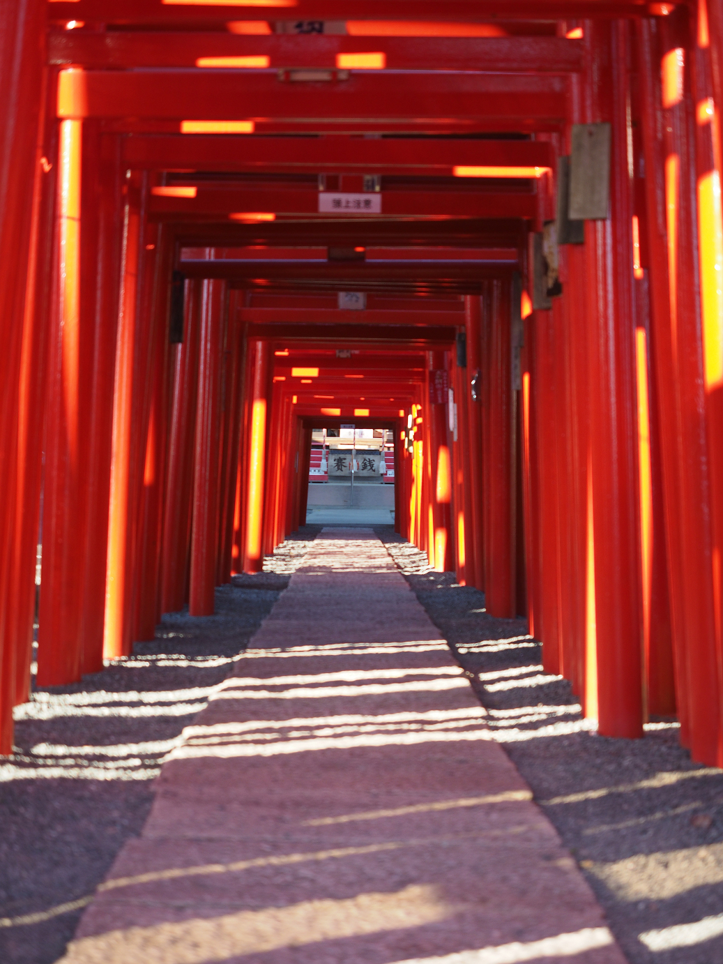 PB031544.jpg