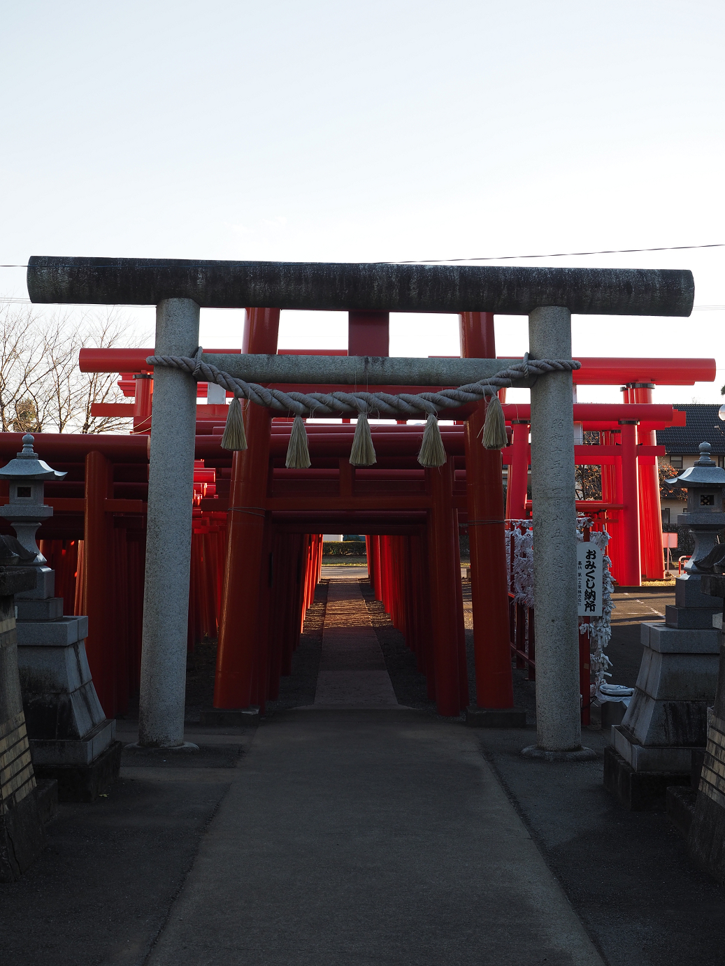 PB031585.jpg