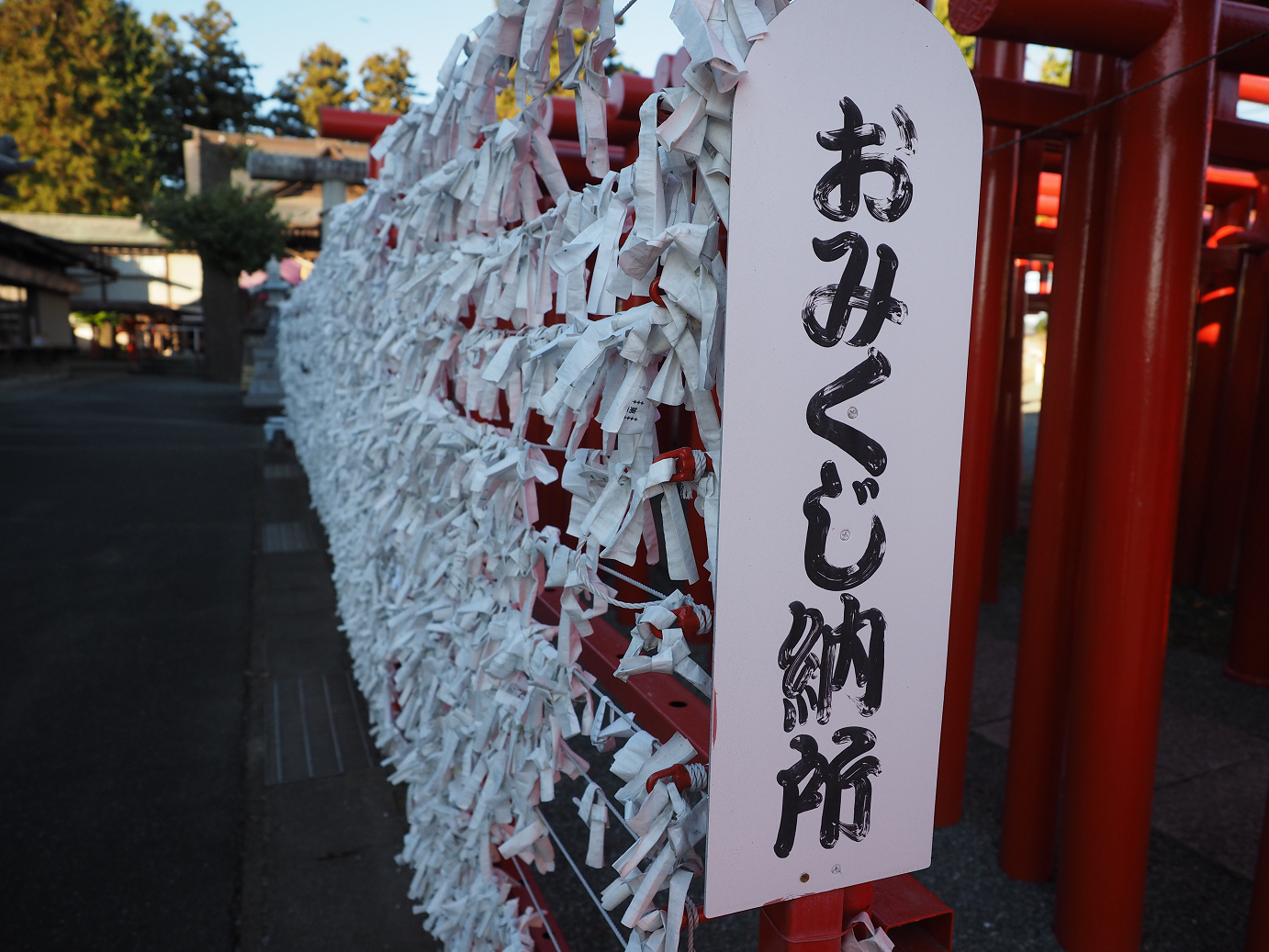 PB031600.jpg