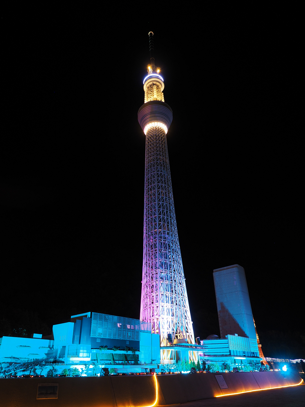 PB040036.jpg