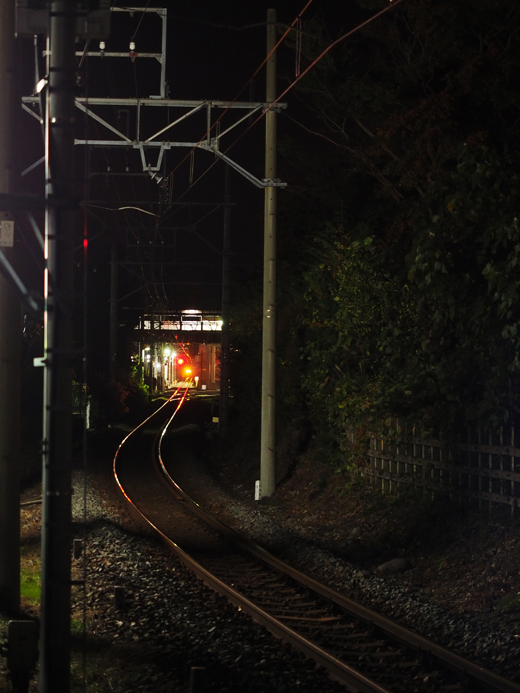 PB040288.jpg