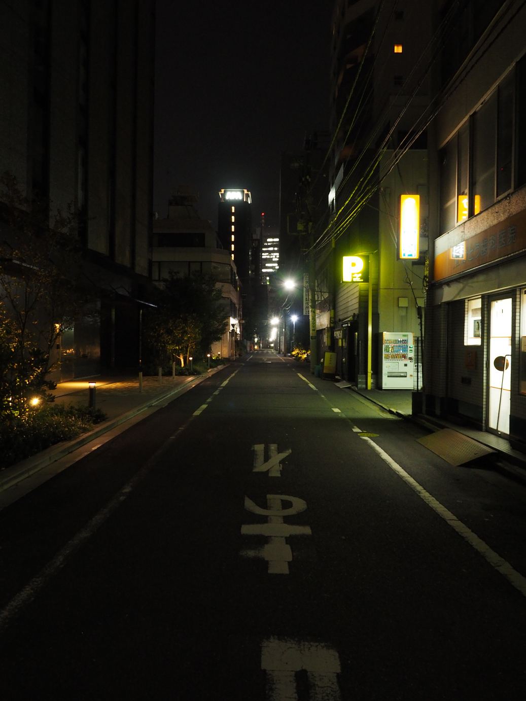 PB130227.jpg