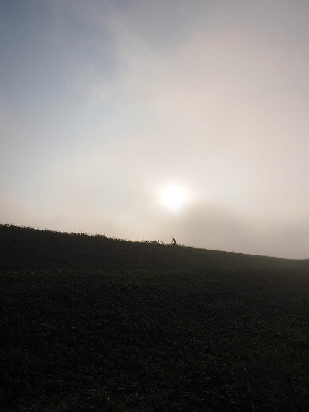 PB130235.jpg