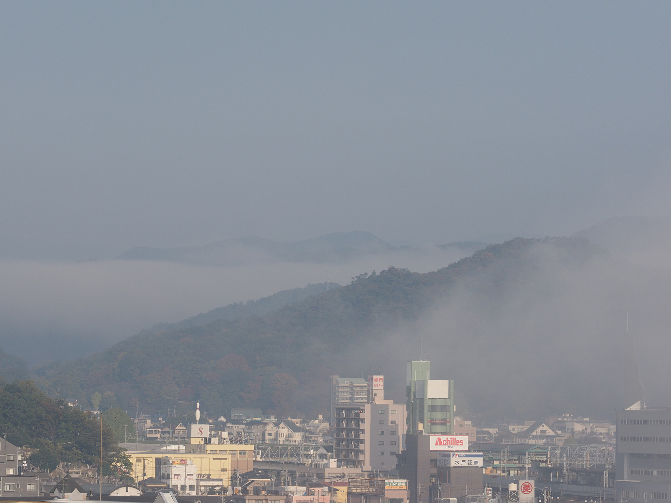 PB130251.jpg