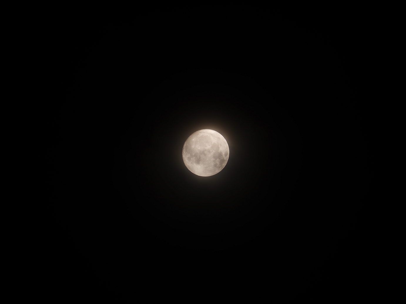 PB130262.jpg