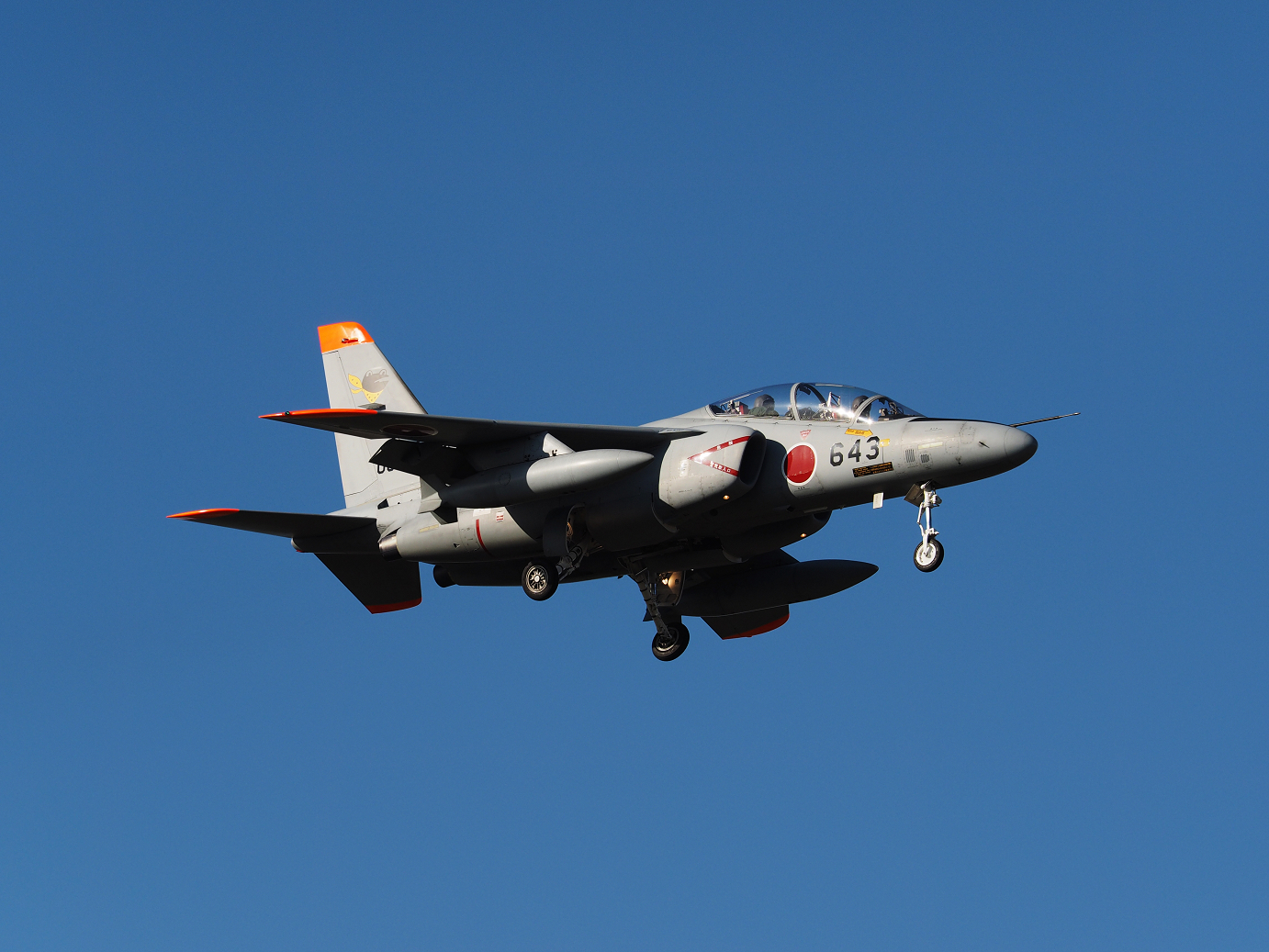 PB260012.jpg