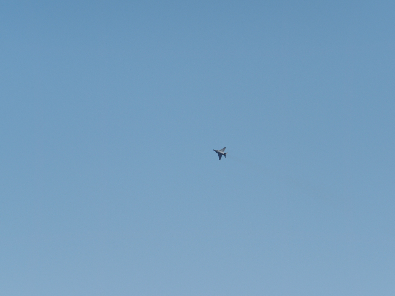 PB260580.jpg