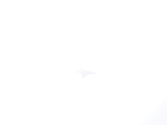 PB260699_thumb.png