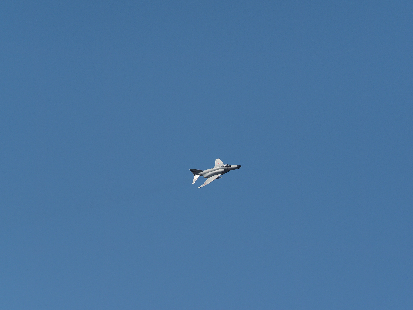 PB260732.jpg