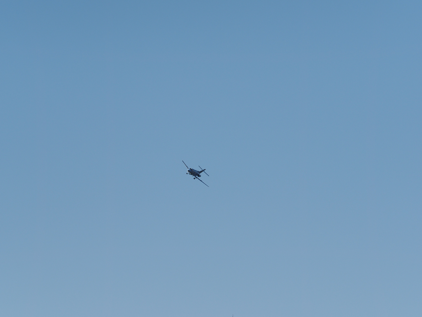 PB260810.jpg
