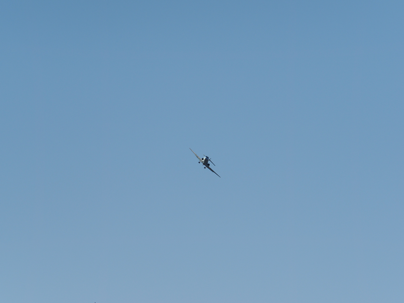 PB260812.jpg