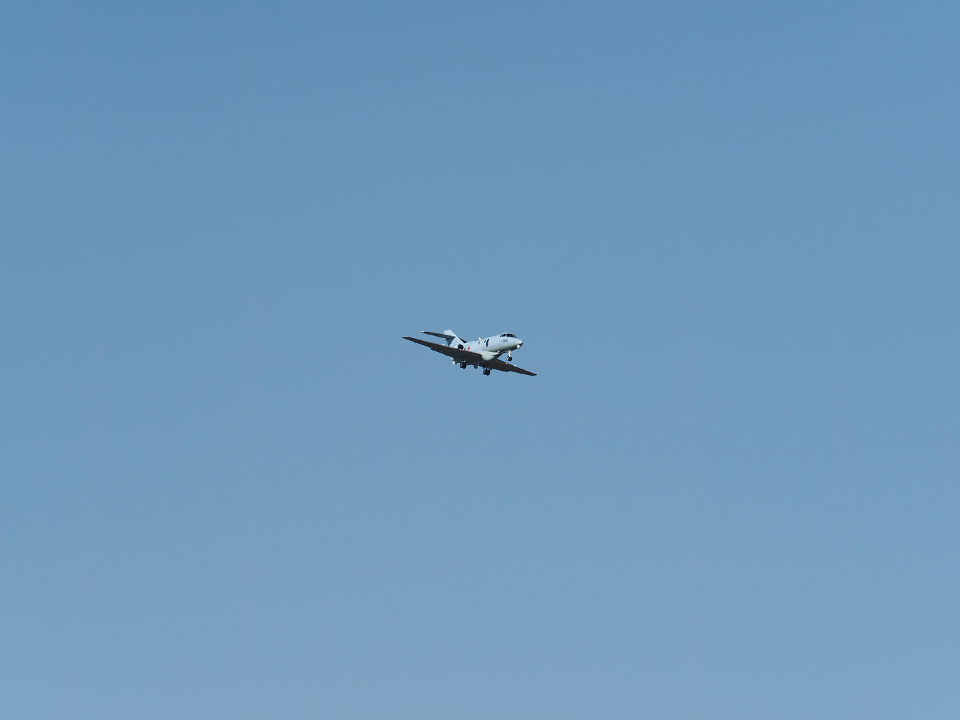 PB260821.jpg