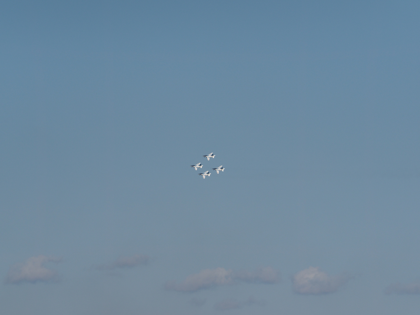 PB260901.jpg