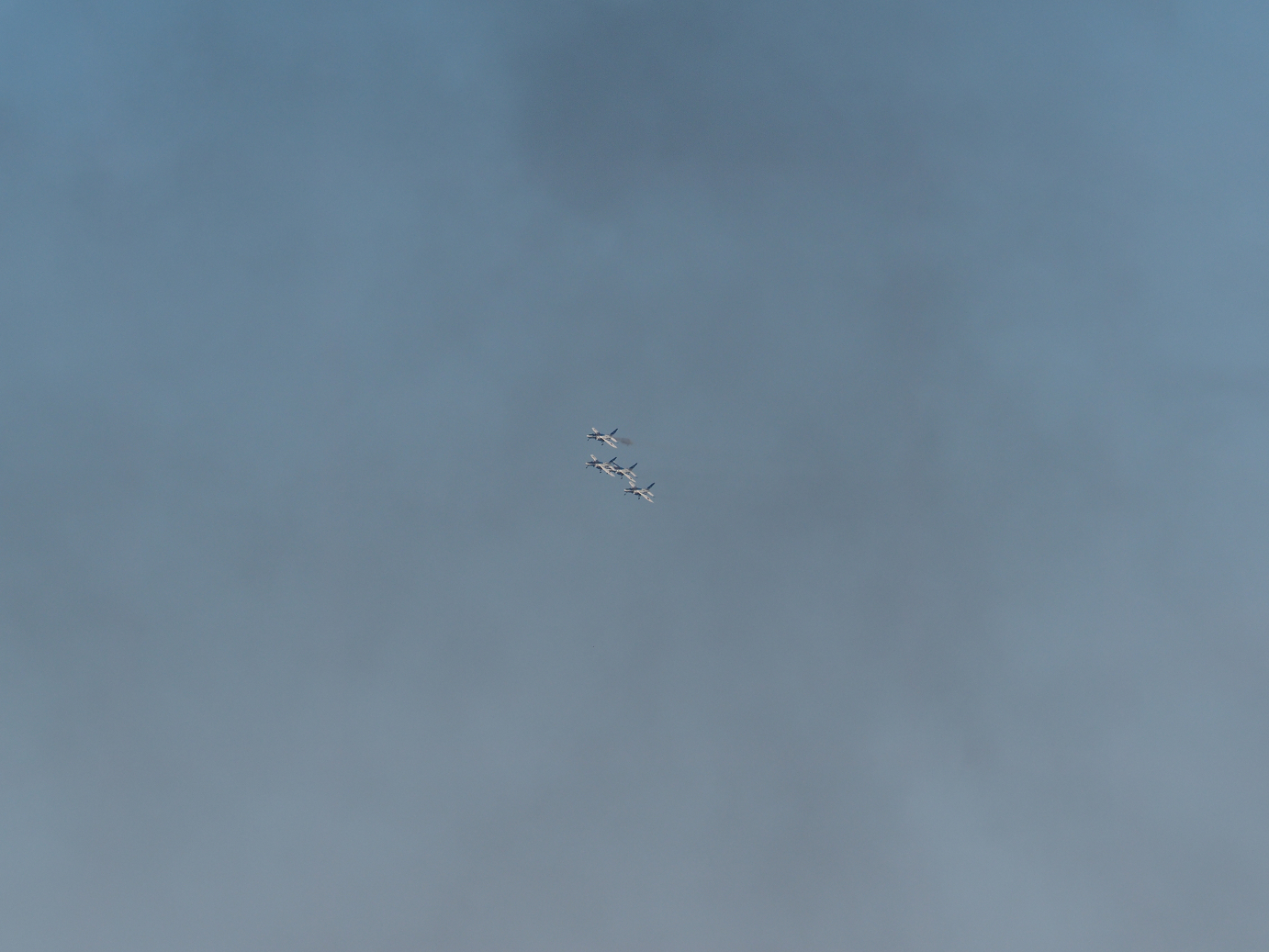 PB260905.jpg
