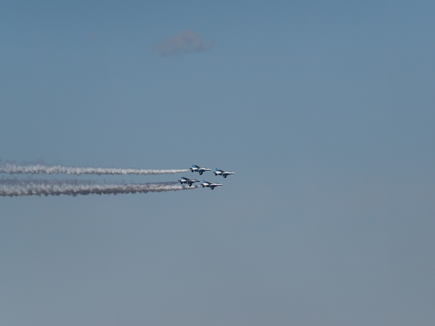 PB260925.jpg
