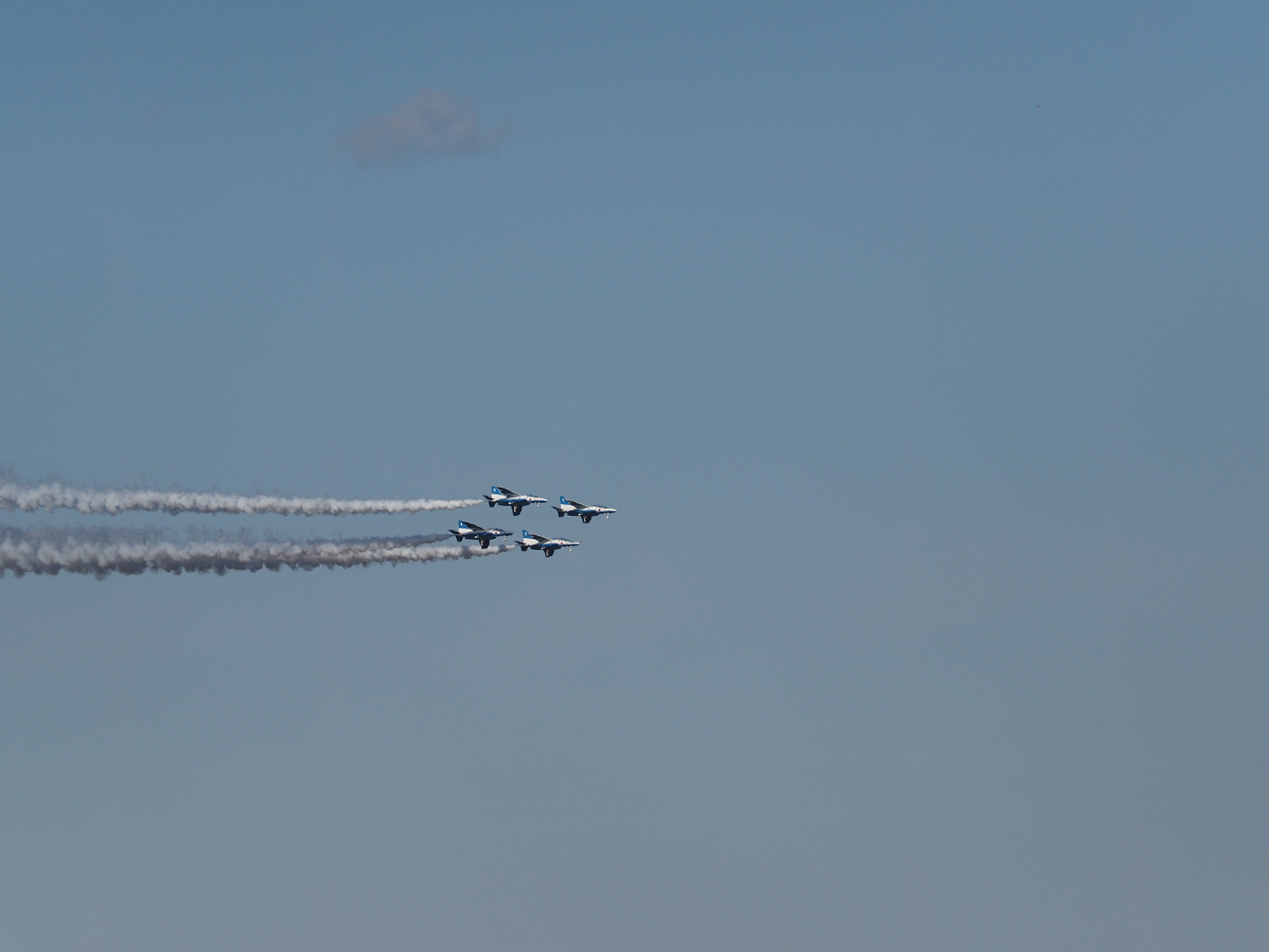 PB260926.jpg