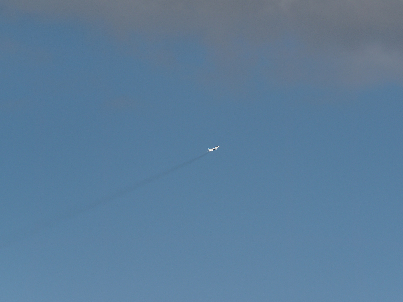 PB260937.jpg