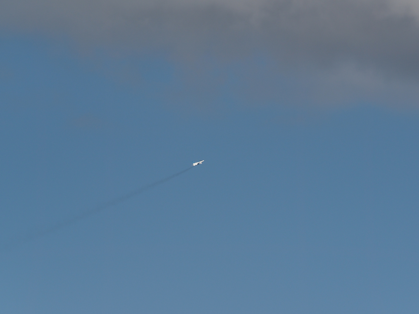 PB260939.jpg