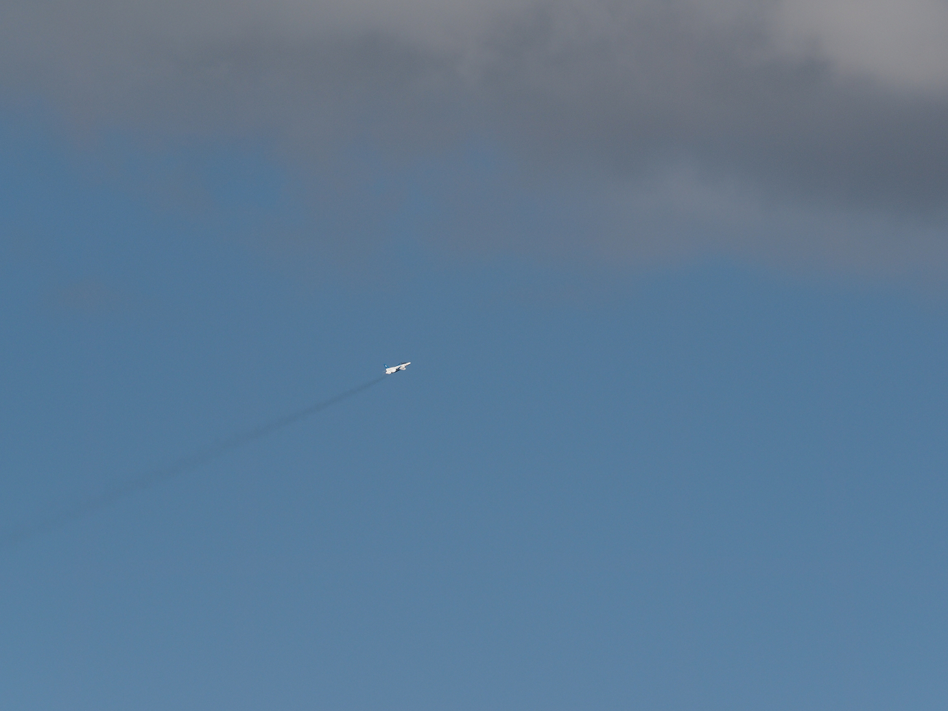 PB260942.jpg