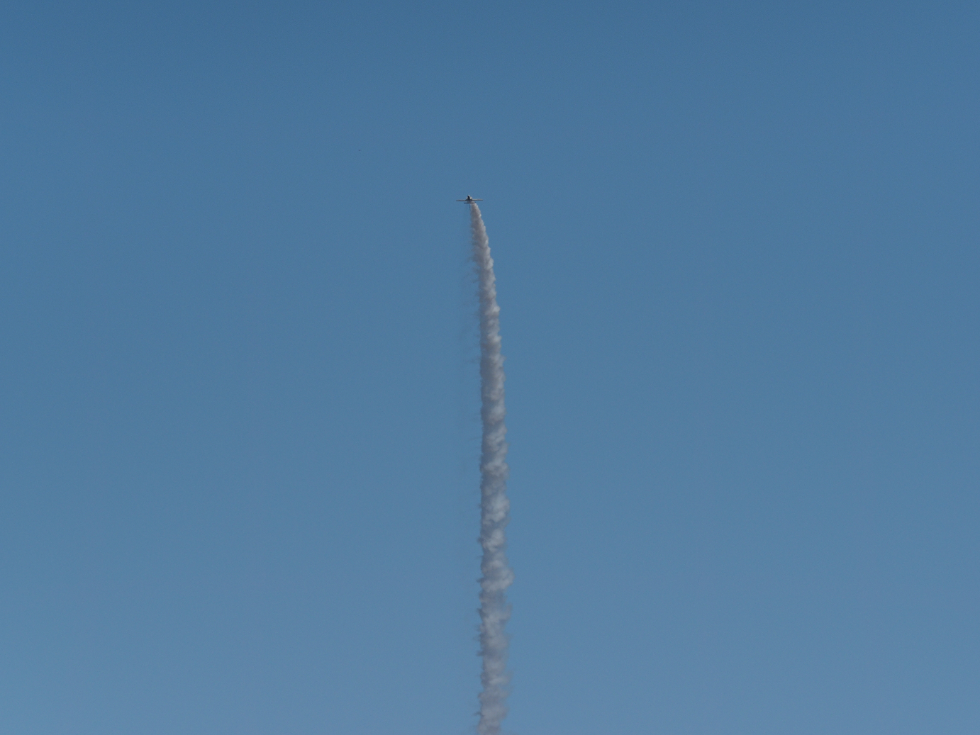 PB260956.jpg