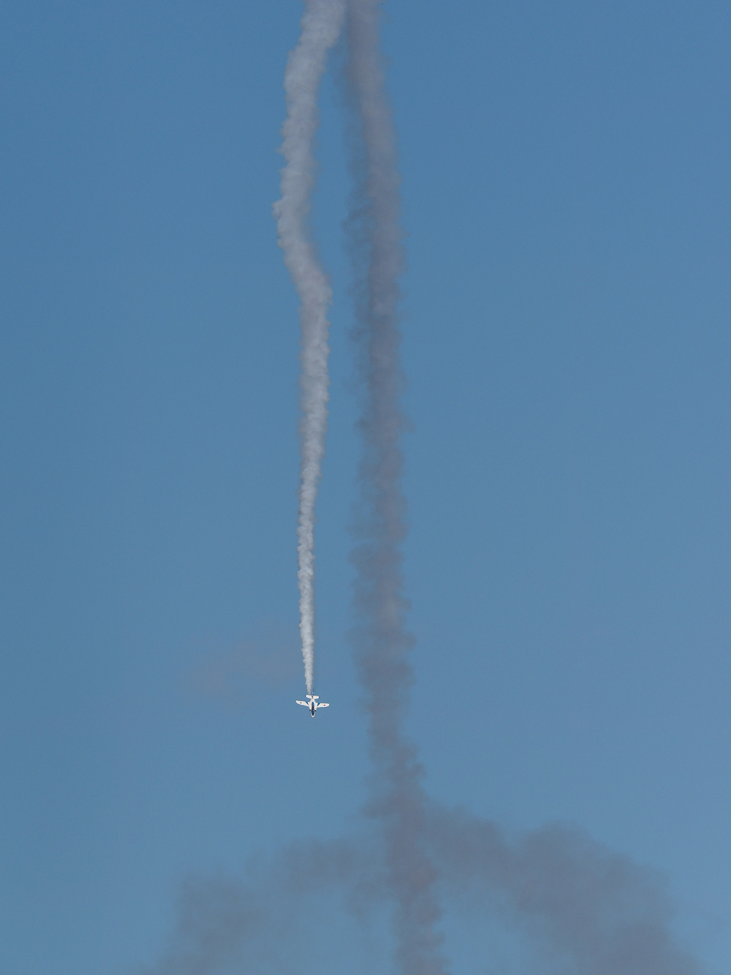 PB260965.jpg