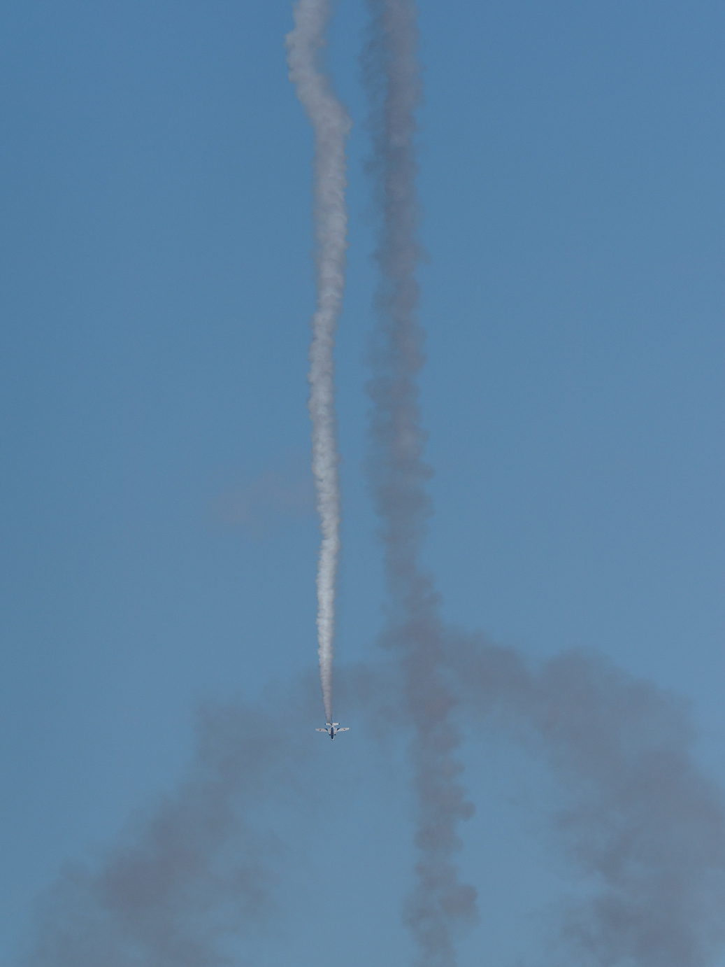 PB260973.jpg