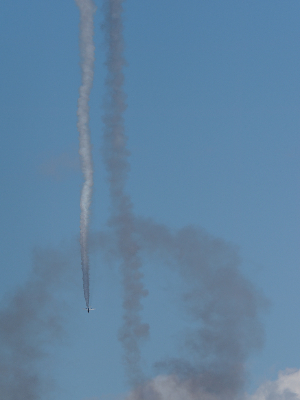PB260978.jpg
