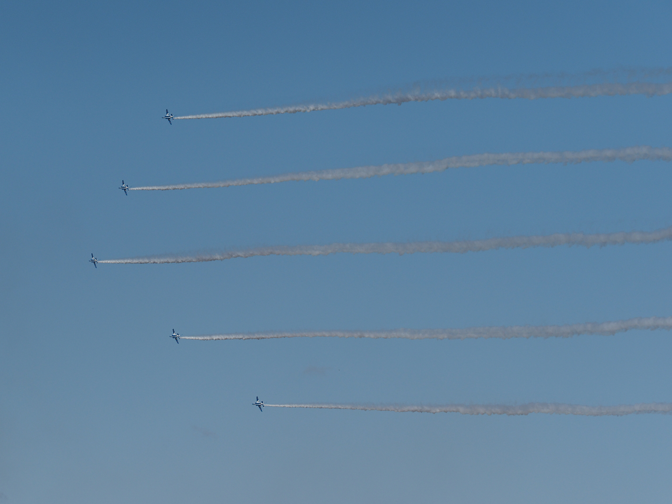 PB261121.jpg