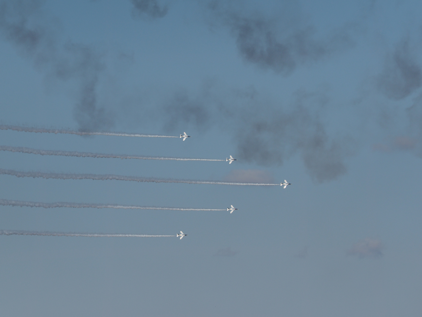 PB261126.jpg