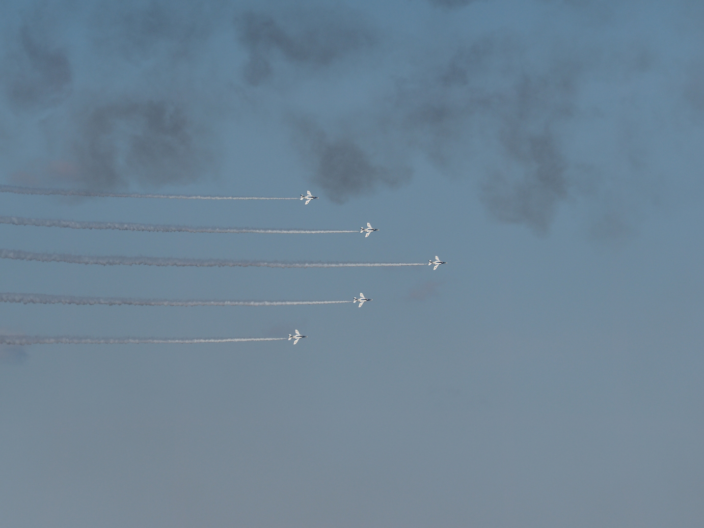 PB261130.jpg