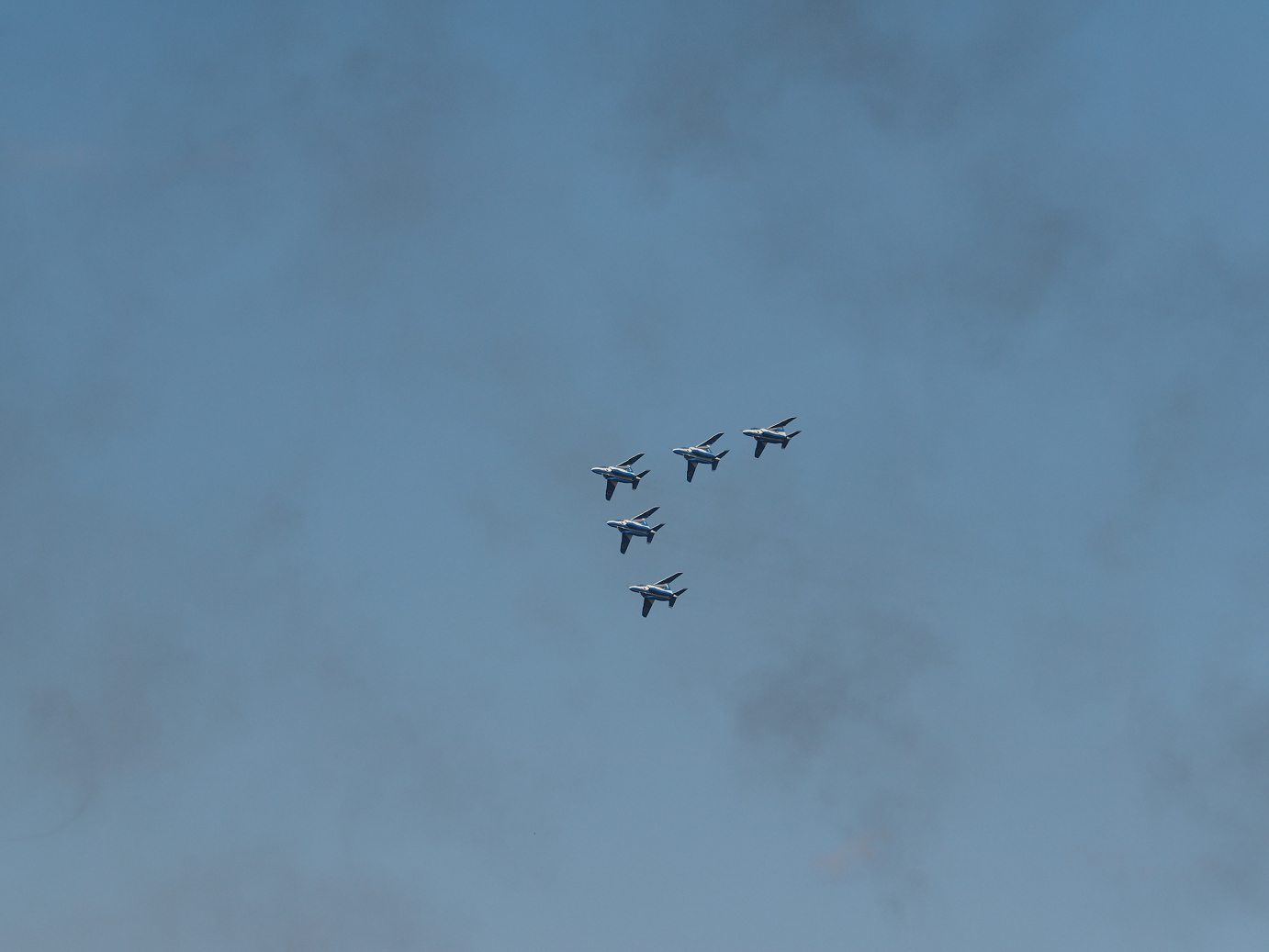 PB261159.jpg