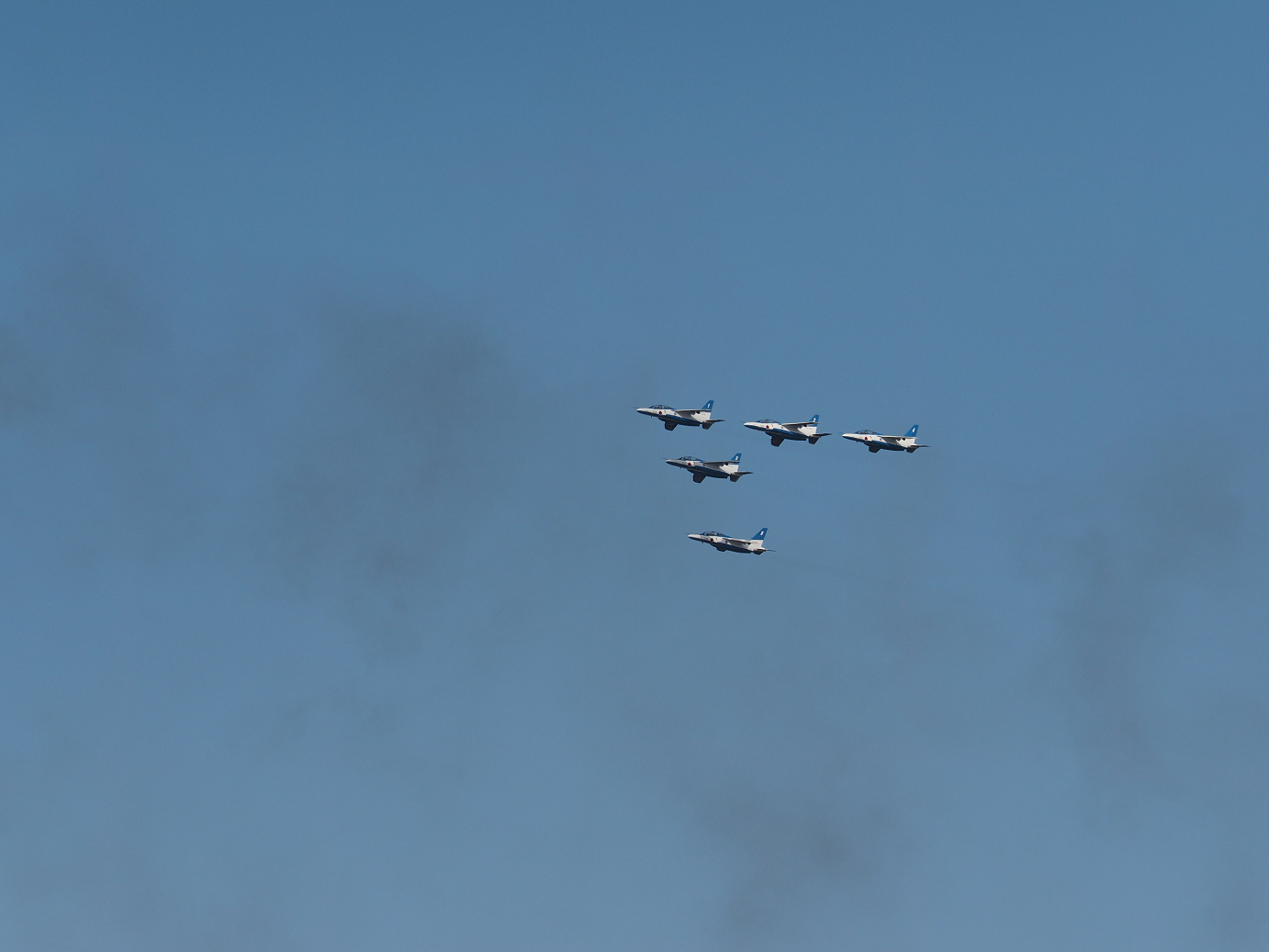 PB261167.jpg