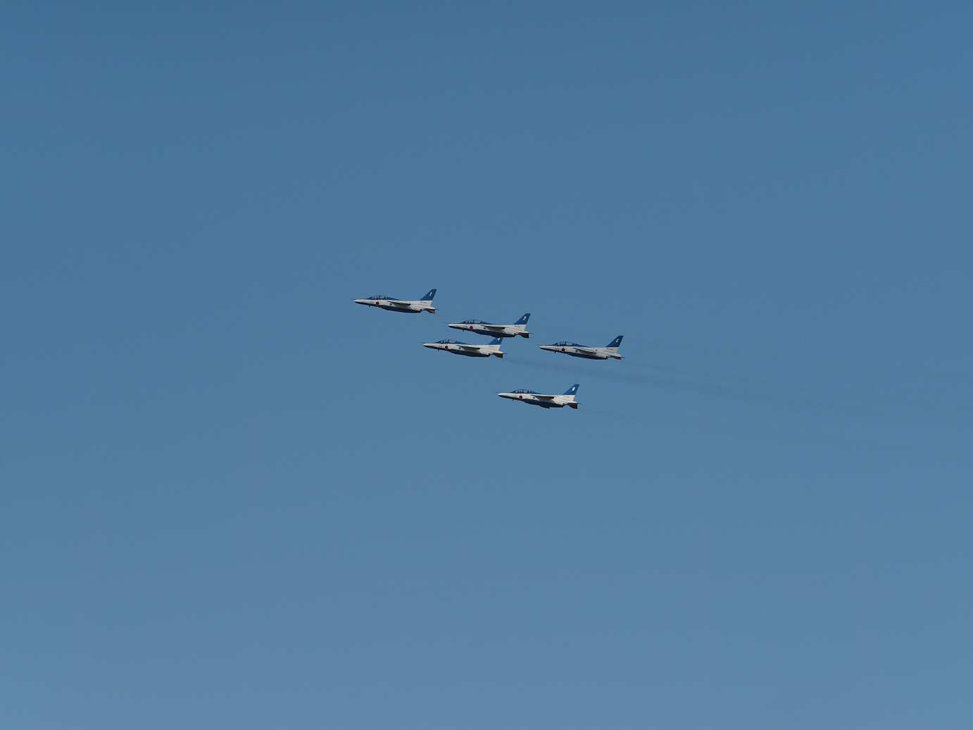 PB261175.jpg