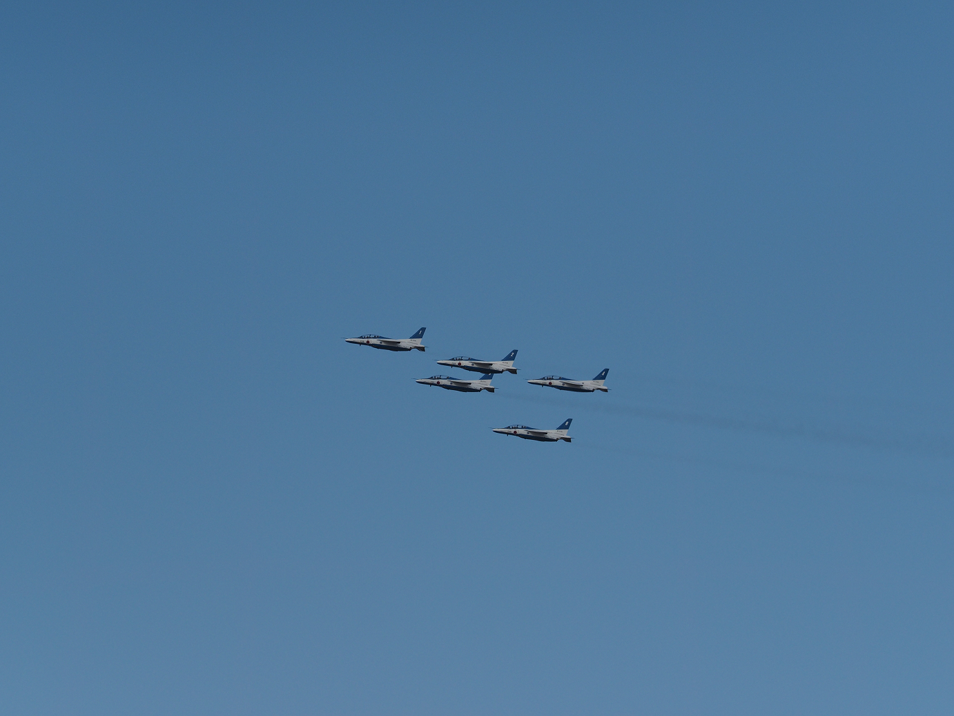 PB261177.jpg