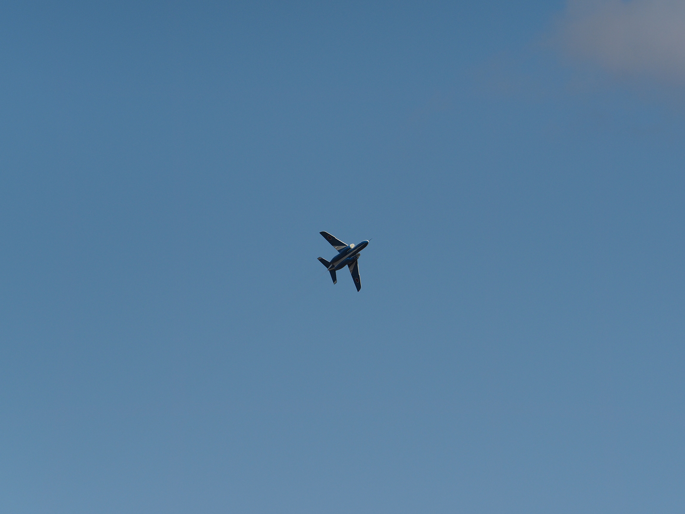 PB261238.jpg