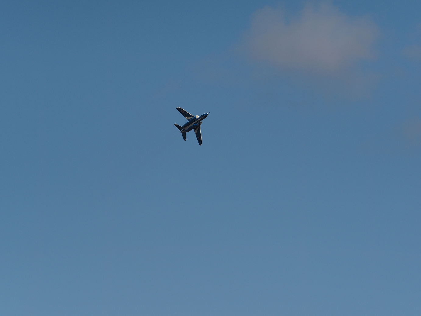 PB261240.jpg