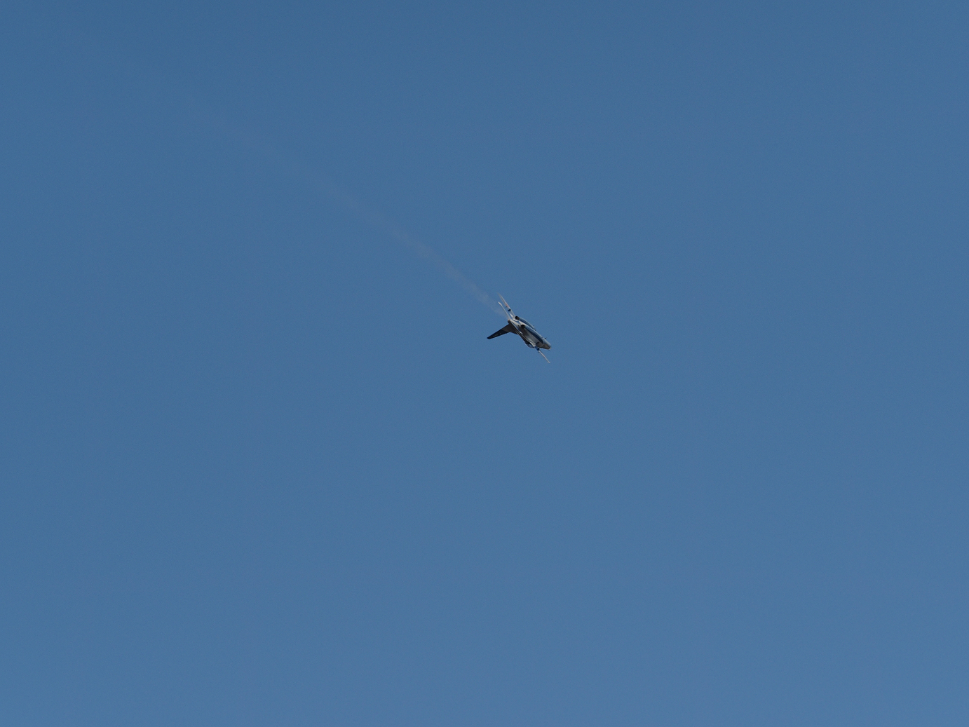 PB261247.jpg