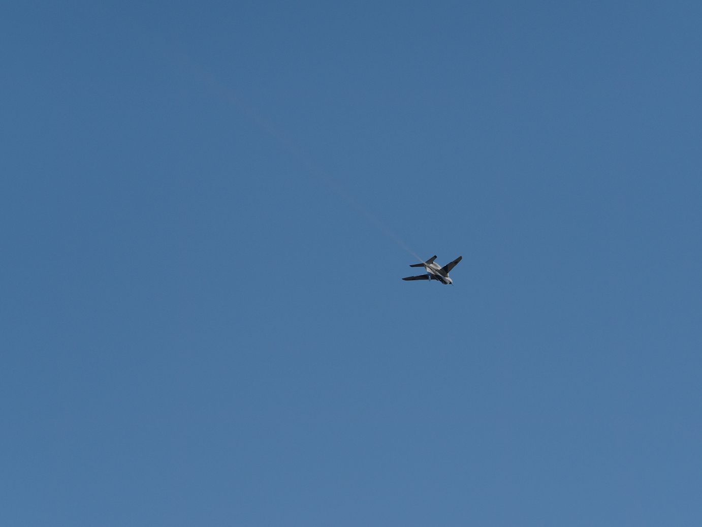PB261251.jpg
