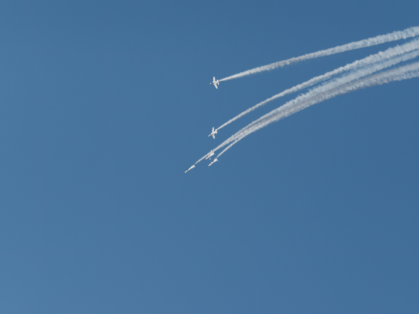 PB261257.jpg