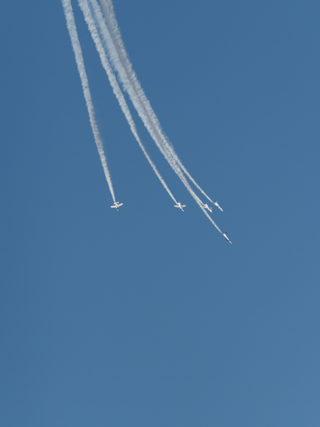 PB261260.jpg