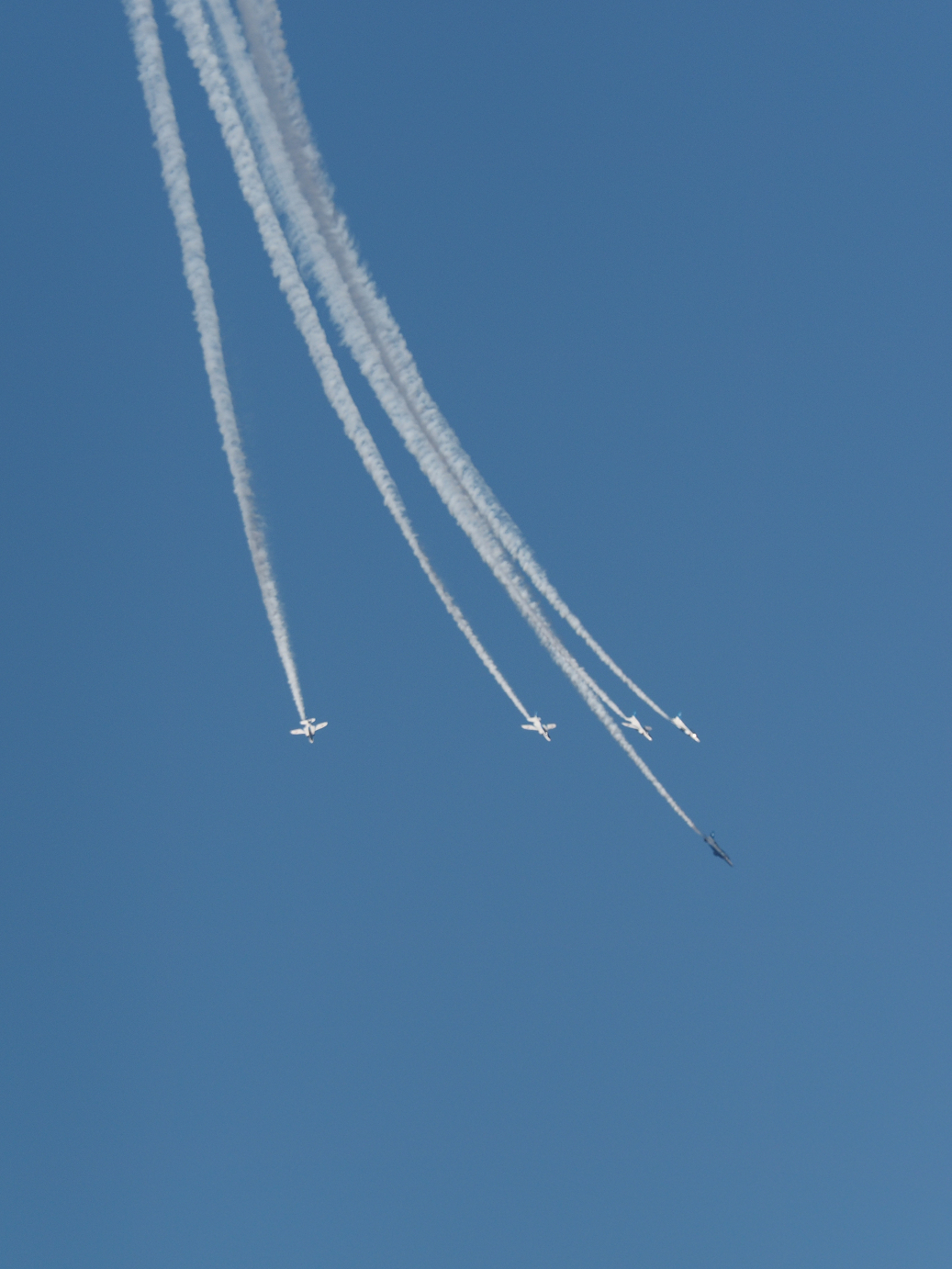 PB261263.jpg
