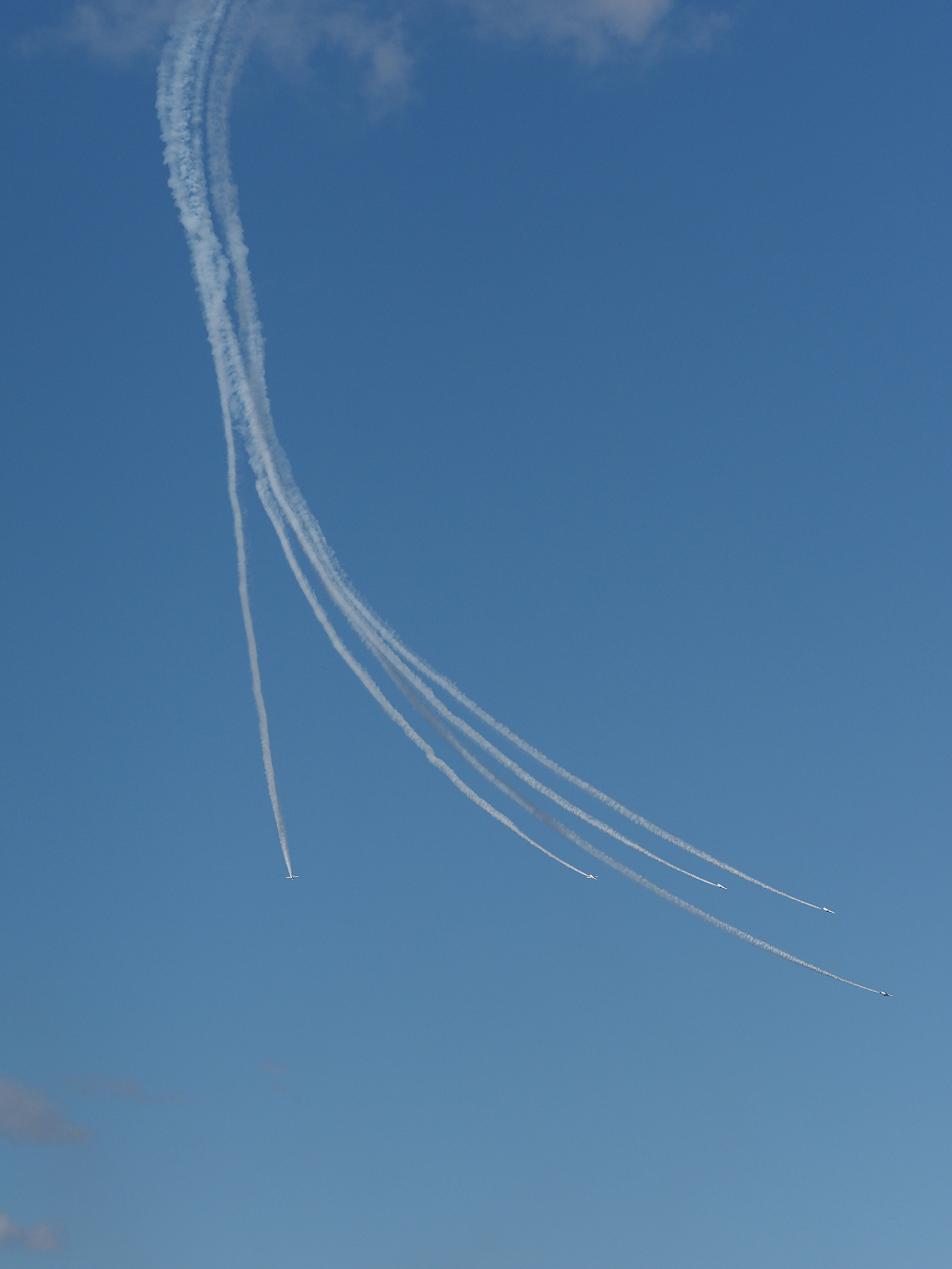 PB261265.jpg