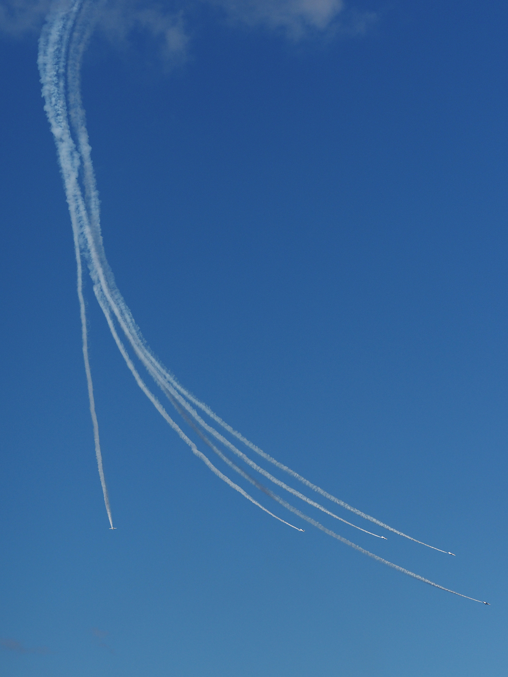 PB261267.jpg